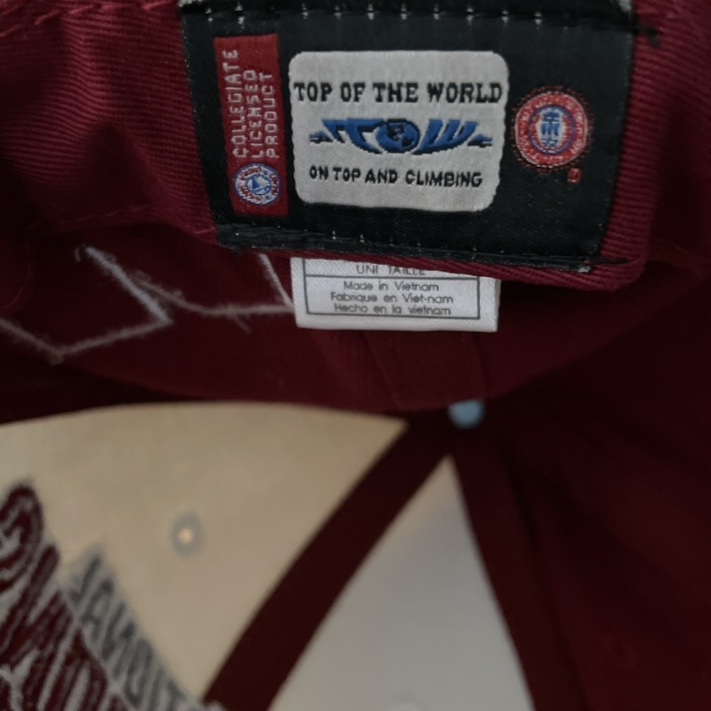 Alabama Crimson Tide 14X National Champions‎ Cap Multicolor Top of the World Adj - Picture 8 of 8